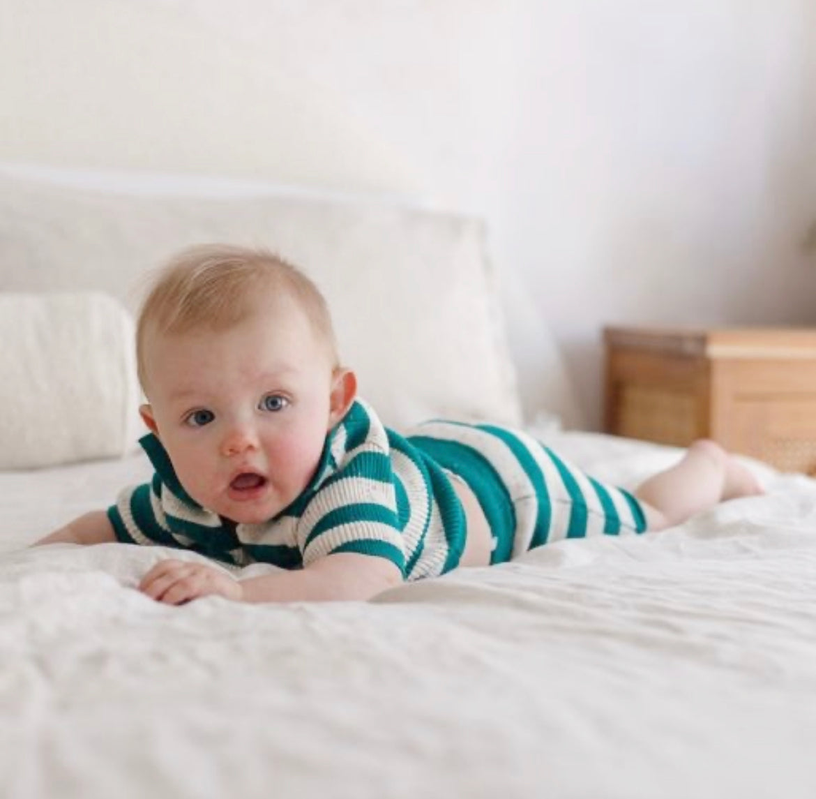 Cotton Shorts - Peacock Speckle Stripe Knit