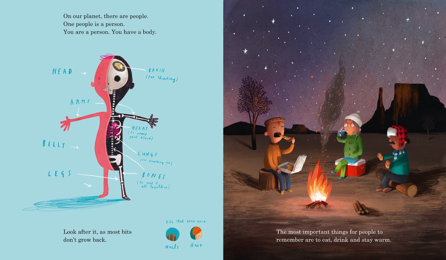 Here We Are: Notes For Living On Planet Earth Hardcover Book