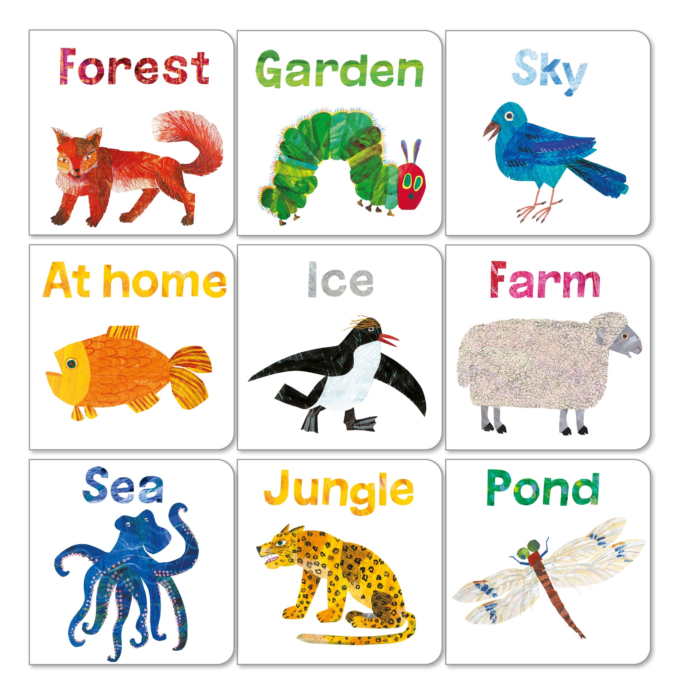 The World of Eric Carle: Big Box of Little Books: Big Box Of Little Books Board Book