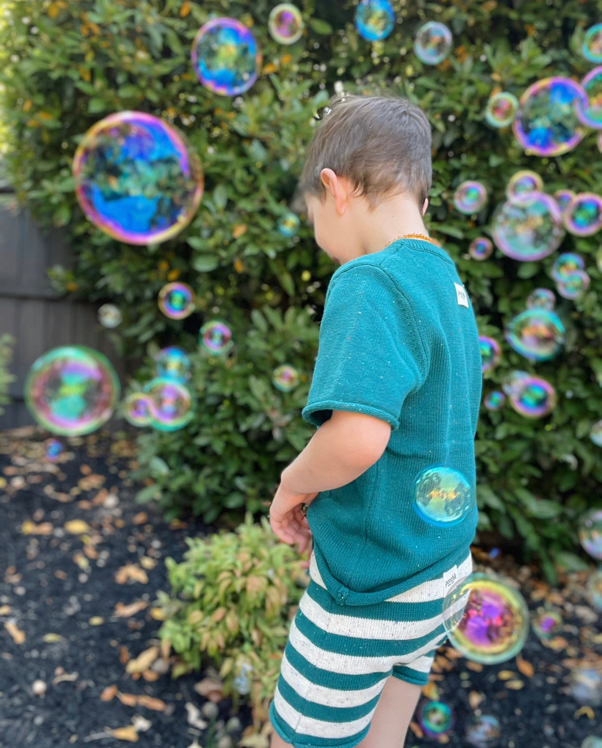 Cotton Shorts - Peacock Speckle Stripe Knit