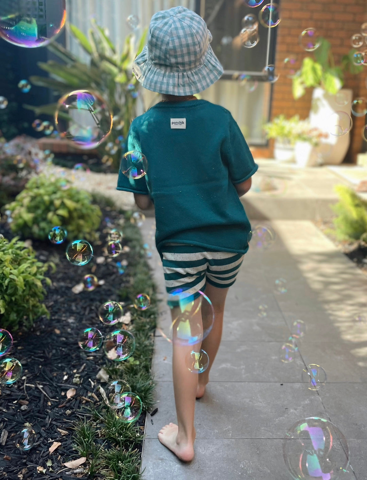 Cotton Shorts - Peacock Speckle Stripe Knit