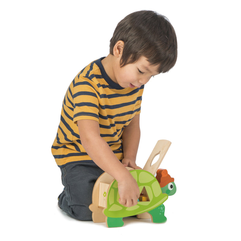 Wooden Tortoise Shape Sorter with Shapes - 18m+